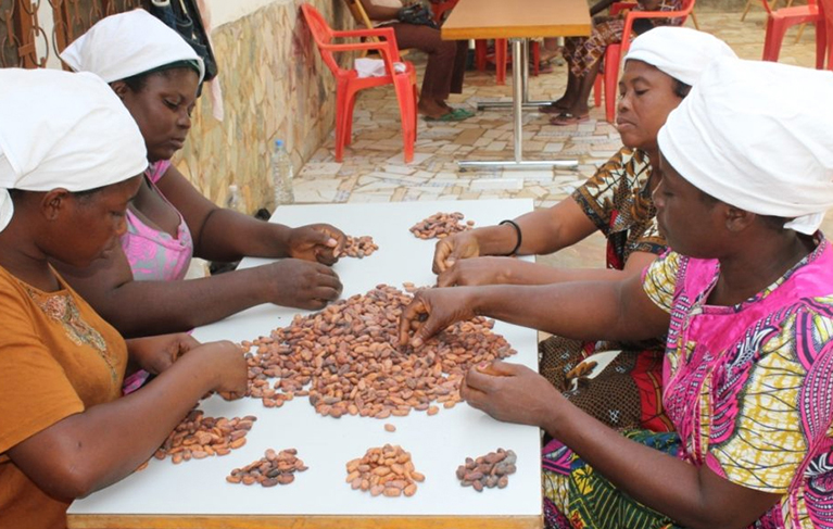 Women sort cocoa beans in Togo. 
