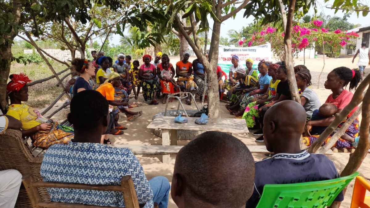 A group of people sit in a circle in chairs under the shade of trees